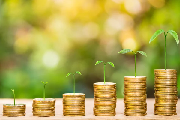 Plantas que crecen sobre pilas de monedas cada vez más altas.