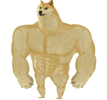 Doge musculoso como reacción de acierto.
